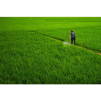 Soil Poisoning Treatment